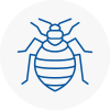 Bed Bug Extermination In Didcot
